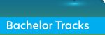 Registration for the courses offered by the University of Primorska for the Bachelor Tracks is open from 15 July to 26 August
