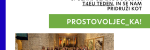 Pridruži se T4EU tednu med 22. in 24. majem kot prostovljec_ka! | Join the T4EU week from 22-24 May as a volunteer!